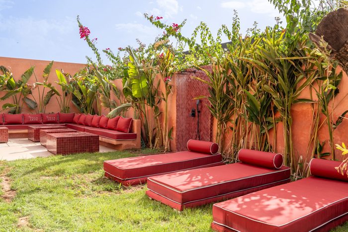 Transats du jardin sous les bougainvilliers
